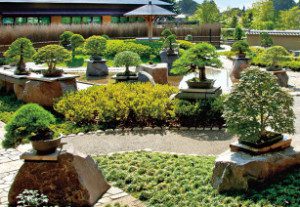 No Japão, lugar de bonsai é fora de casa. Exceto durante exposições.