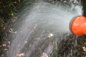 Em jardins abertos, dificilmente pecamos pelo excesso de água.